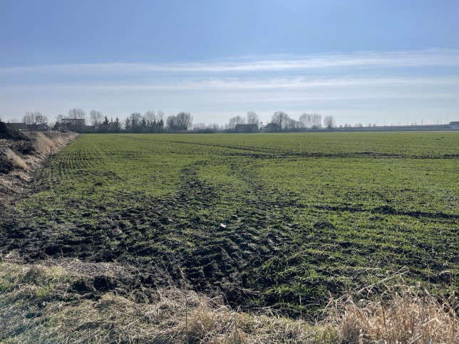 Działka Sprzedaż Gorzów Wielkopolski Wieprzyce 5