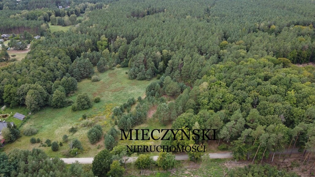 Działka Sprzedaż Santoczno